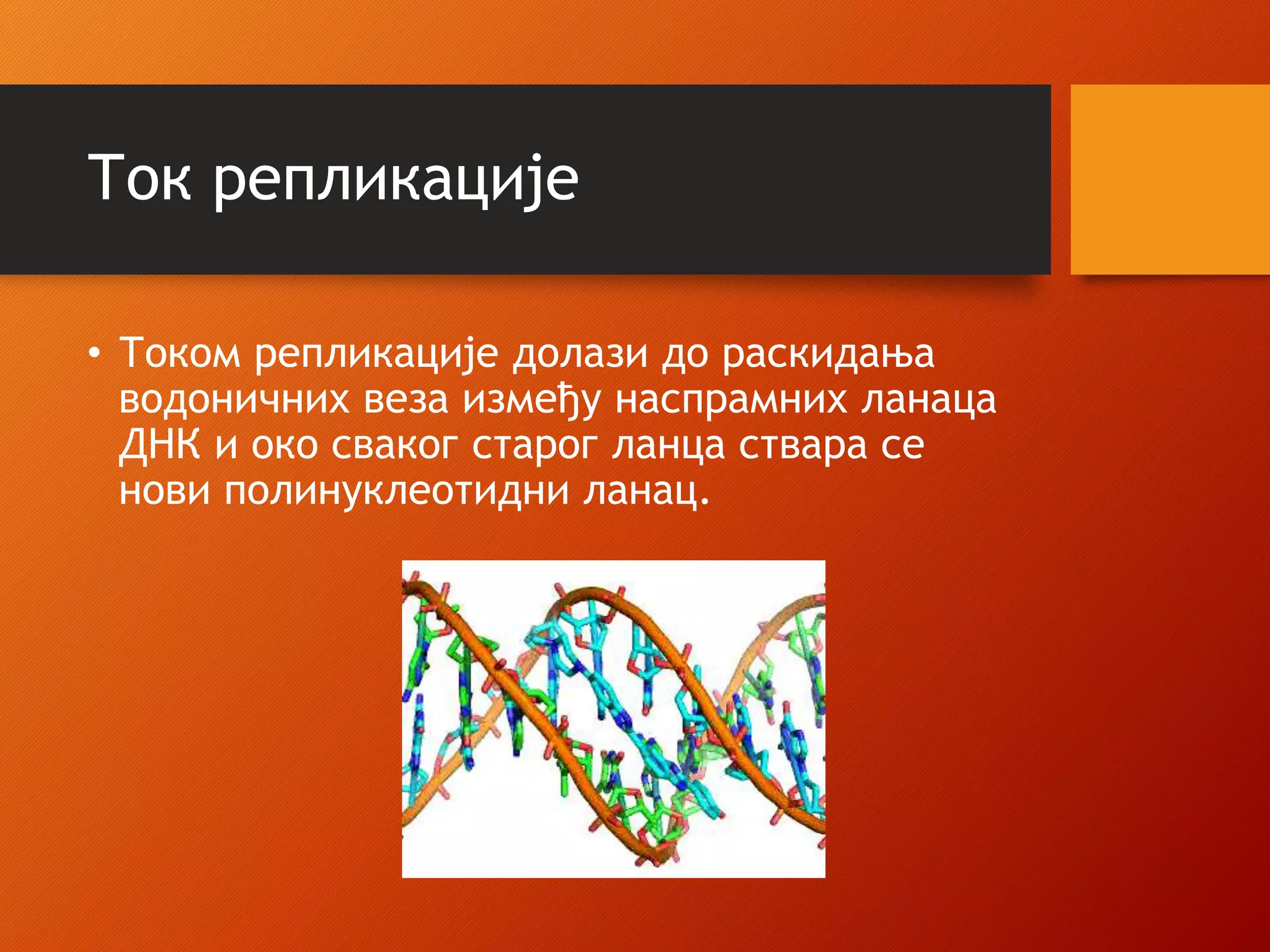 Ток репликације
• Током репликације долази до раскидања
водоничних веза између наспрамних ланаца
ДНК и око сваког старог ланца ствара се
нови полинуклеотидни ланац.
 