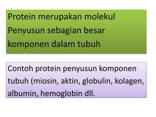 Protein merupakan molekul
Penyusun sebagian besar
komponen dalam tubuh
Contoh protein penyusun komponen
tubuh (miosin, aktin, globulin, kolagen,
albumin, hemoglobin dll.

 
