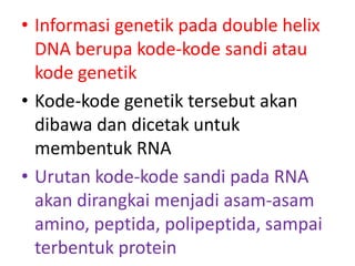 • Informasi genetik pada double helix
DNA berupa kode-kode sandi atau
kode genetik
• Kode-kode genetik tersebut akan
dibawa dan dicetak untuk
membentuk RNA
• Urutan kode-kode sandi pada RNA
akan dirangkai menjadi asam-asam
amino, peptida, polipeptida, sampai
terbentuk protein

 