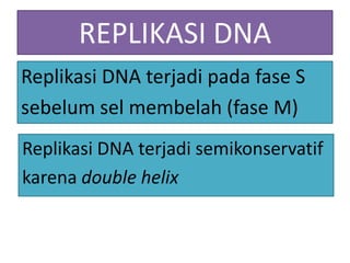 REPLIKASI DNA
Replikasi DNA terjadi pada fase S
sebelum sel membelah (fase M)
Replikasi DNA terjadi semikonservatif
karena double helix

 