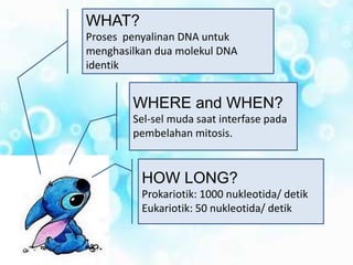 WHAT?
Proses penyalinan DNA untuk
menghasilkan dua molekul DNA
identik
WHERE and WHEN?
Sel-sel muda saat interfase pada
pembelahan mitosis.
HOW LONG?
Prokariotik: 1000 nukleotida/ detik
Eukariotik: 50 nukleotida/ detik
 