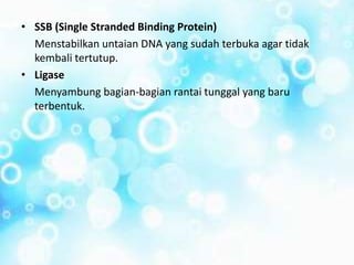 • SSB (Single Stranded Binding Protein)
Menstabilkan untaian DNA yang sudah terbuka agar tidak
kembali tertutup.
• Ligase
Menyambung bagian-bagian rantai tunggal yang baru
terbentuk.
 
