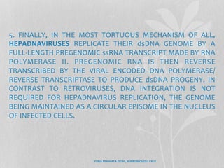Hepadnavirus Reverse Transcriptase Replication of DNA Virus Genomes | PDF