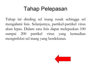 Sel Inang Replikasi virus | PPT