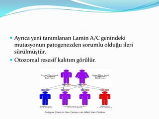  Ayrıca yeni tanımlanan Lamin A/C genindeki

mutasyonun patogenezden sorumlu olduğu ileri
sürülmüştür.
 Otozomal resesif kalıtım görülür.

 