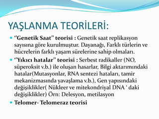 YAŞLANMA TEORİLERİ:
 ‘’Genetik Saat’’ teorisi : Genetik saat replikasyon

sayısına göre kurulmuştur. Dayanağı, Farklı türlerin ve
hücrelerin farklı yaşam sürelerine sahip olmaları.
 ‘’Yıkıcı hatalar’’ teorisi : Serbest radikaller (NO,
süperoksit v.b.) ile oluşan hasarlar, Bilgi aktarımındaki
hatalar(Mutasyonlar, RNA sentezi hataları, tamir
mekanizmasında yavaşlama v.b.), Gen yapısındaki
değişiklikler( Nükleer ve mitekondriyal DNA ‘ daki
değişiklikler) Örn: Delesyon, metilasyon
 Telomer- Telomeraz teorisi

 