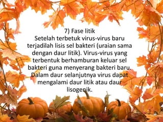 7) Fase litik 
Setelah terbetuk virus-virus baru 
terjadilah lisis sel bakteri (uraian sama 
dengan daur litik). Virus-virus yang 
terbentuk berhamburan keluar sel 
bakteri guna menyerang bakteri baru. 
Dalam daur selanjutnya virus dapat 
mengalami daur litik atau daur 
lisogenik. 
 