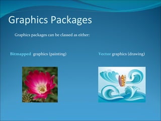 Graphics Packages Graphics packages can be classed as either: Bitmapped   graphics (painting) Vector  graphics (drawing) 