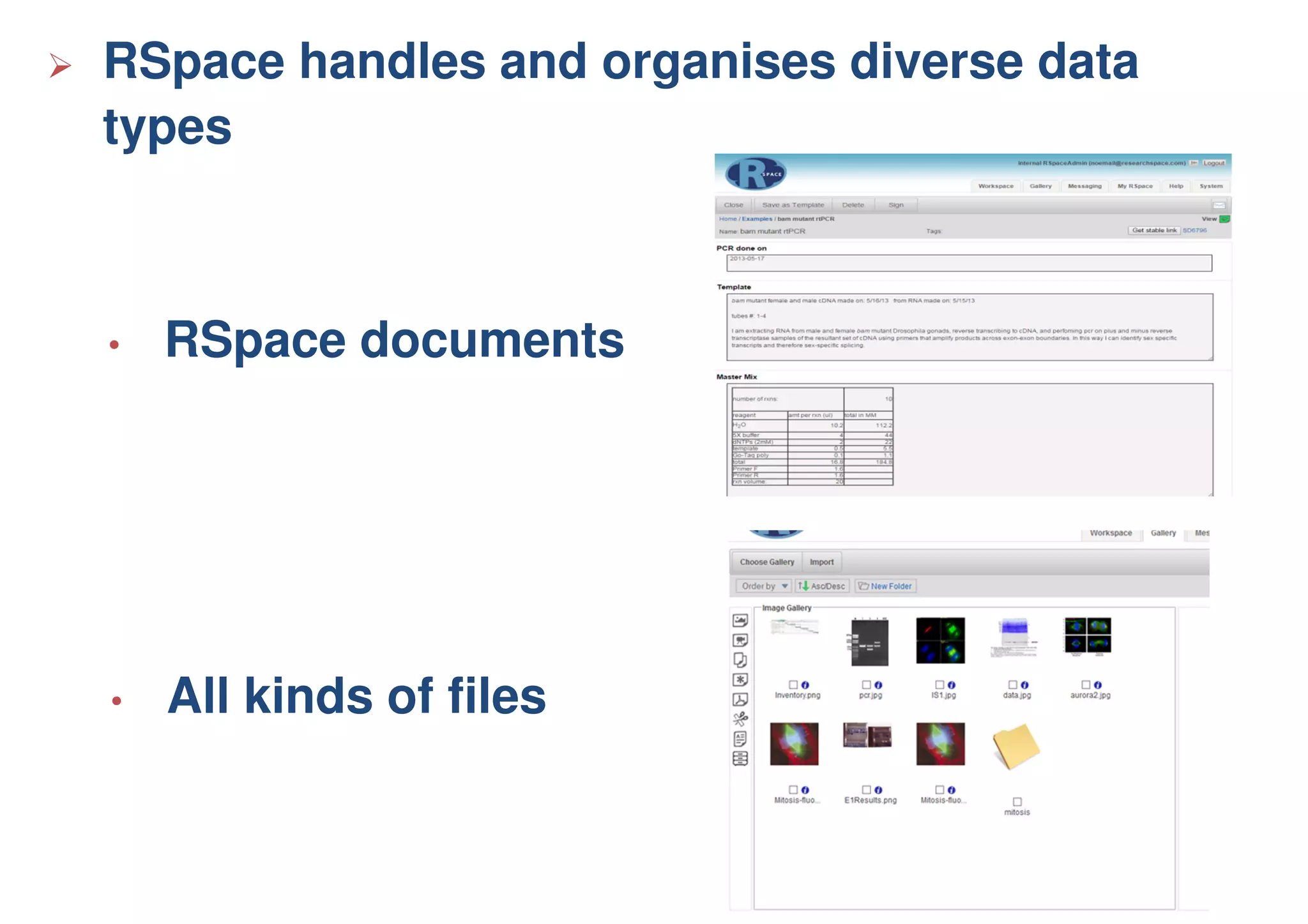 RSpace handles and organises diverse data
types
• RSpace documents
• All kinds of files
 