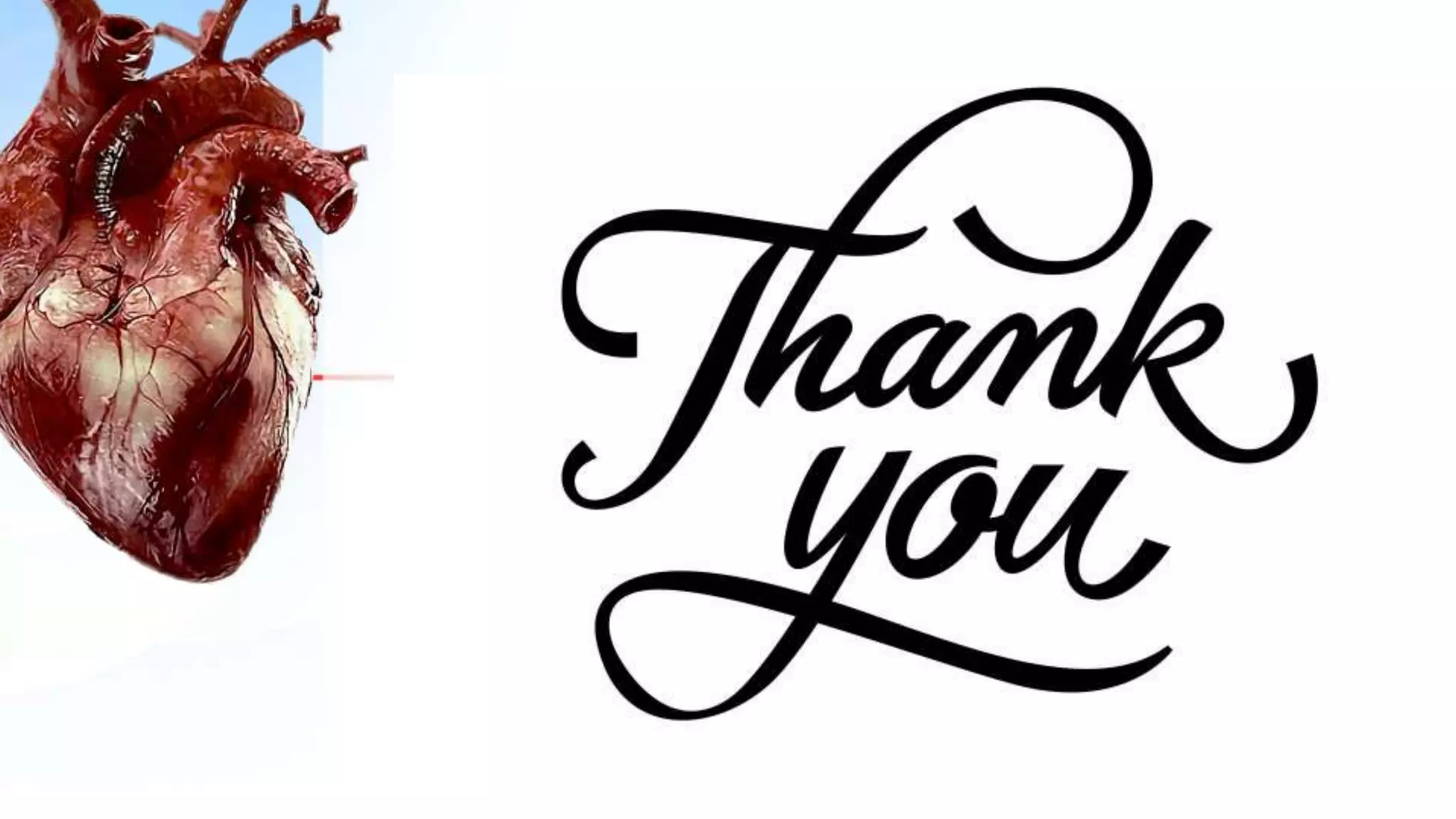 Repolarization ST wave Abnormalities