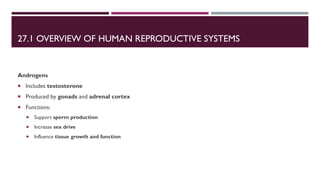 Comprehensive Overview of the Human Reproductive System and Its ...