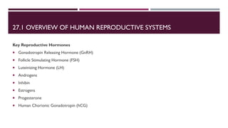 Comprehensive Overview of the Human Reproductive System and Its ...