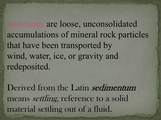 Sedimentary Rocks