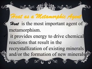 Sedimentary rocks are particularly important evidence of Earth’s long history.