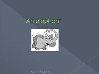 Powered by Widig Cahyono
 