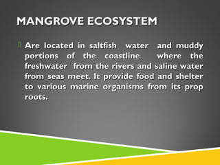 MANGROVE ECOSYSTEM
 Are located in saltfish

water and muddy
portions of the coastline
where the
freshwater from the rivers and saline water
from seas meet. It provide food and shelter
to various marine organisms from its prop
roots.

 