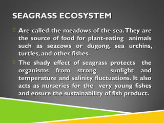 SEAGRASS ECOSYSTEM
 Are called the meadows of the sea. They are

the source of food for plant-eating animals
such as seacows or dugong, sea urchins,
turtles, and other fishes.
 The shady effect of seagrass protects the
organisms from strong
sunlight and
temperature and salinity fluctuations. It also
acts as nurseries for the very young fishes
and ensure the sustainability of fish product.

 