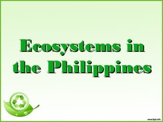 Ecosystems in
the Philippines

 