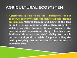AGRICULTURAL ECOSYSTEM
 Agricultural is said to be the

“backbone” of our
country’s economy since the most Filipinos depend
on farming. Natural farming and tilling of the land
or soil is more recommendable than using high
yielding varieties because it can preserve the
environmental ecosystem. Using chemicals and
fertilizers threatens the soils’ ability to recycle
nutrients and good materials for plants. Killing the
healthy soil, they also burden the farmers because of
expensive cost.

 