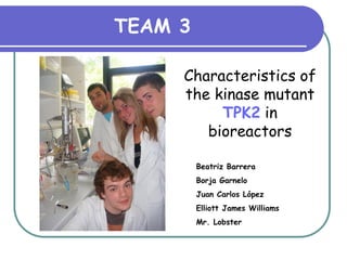 TEAM 3

     Characteristics of
     the kinase mutant
          TPK2 in
        bioreactors

         Beatriz Barrera
         Borja Garnelo
         Juan Carlos López
         Elliott James Williams
         Mr. Lobster
 