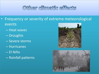 • Frequency or severity of extreme meteorological
events
– Heat waves
– Droughts
– Severe storms
– Hurricanes
– El Niño
– Rainfall patterns
 