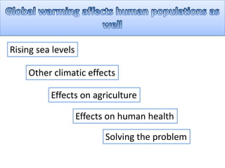 Rising sea levels
Other climatic effects
Effects on agriculture
Effects on human health
Solving the problem
 