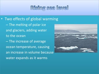 • Two effects of global warming
– The melting of polar ice
and glaciers, adding water
to the ocean
– The increase of average
ocean temperature, causing
an increase in volume because
water expands as it warms
 