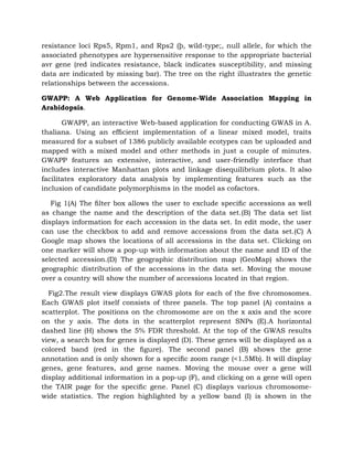 resistance loci Rps5, Rpm1, and Rps2 (þ, wild-type;, null allele, for which the
associated phenotypes are hypersensitive response to the appropriate bacterial
avr gene (red indicates resistance, black indicates susceptibility, and missing
data are indicated by missing bar). The tree on the right illustrates the genetic
relationships between the accessions.
GWAPP: A Web Application for Genome-Wide Association Mapping in
Arabidopsis.
GWAPP, an interactive Web-based application for conducting GWAS in A.
thaliana. Using an efﬁcient implementation of a linear mixed model, traits
measured for a subset of 1386 publicly available ecotypes can be uploaded and
mapped with a mixed model and other methods in just a couple of minutes.
GWAPP features an extensive, interactive, and user-friendly interface that
includes interactive Manhattan plots and linkage disequilibrium plots. It also
facilitates exploratory data analysis by implementing features such as the
inclusion of candidate polymorphisms in the model as cofactors.
Fig 1(A) The ﬁlter box allows the user to exclude speciﬁc accessions as well
as change the name and the description of the data set.(B) The data set list
displays information for each accession in the data set. In edit mode, the user
can use the checkbox to add and remove accessions from the data set.(C) A
Google map shows the locations of all accessions in the data set. Clicking on
one marker will show a pop-up with information about the name and ID of the
selected accession.(D) The geographic distribution map (GeoMap) shows the
geographic distribution of the accessions in the data set. Moving the mouse
over a country will show the number of accessions located in that region.
Fig2.The result view displays GWAS plots for each of the ﬁve chromosomes.
Each GWAS plot itself consists of three panels. The top panel (A) contains a
scatterplot. The positions on the chromosome are on the x axis and the score
on the y axis. The dots in the scatterplot represent SNPs (E).A horizontal
dashed line (H) shows the 5% FDR threshold. At the top of the GWAS results
view, a search box for genes is displayed (D). These genes will be displayed as a
colored band (red in the ﬁgure). The second panel (B) shows the gene
annotation and is only shown for a speciﬁc zoom range (<1.5Mb). It will display
genes, gene features, and gene names. Moving the mouse over a gene will
display additional information in a pop-up (F), and clicking on a gene will open
the TAIR page for the speciﬁc gene. Panel (C) displays various chromosome-
wide statistics. The region highlighted by a yellow band (I) is shown in the
 