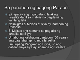 Sa panahon ng bagong Paraon 
 Ipinapatay ang mga batang lalaking 
Israelita dahil sa mabilis na pagdami ng 
kanilang lahi 
 Nakaligtas si Moises at siya ay inampon ng 
Prinsesa 
 Si Moises ang namuno sa pag alis ng 
Israelita sa Egypt 
 Umabot ng kalahating dantaoon (50 years) 
ang paghahanap ng mga Israelita 
sa Lupang Pangako ng Diyos, ito ang 
dahilan kaya siya ay sinamba ng Israelita 
 
