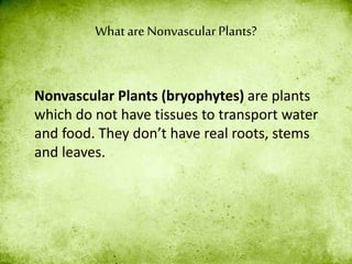 What are Nonvascular Plants?
Nonvascular Plants (bryophytes) are plants
which do not have tissues to transport water
and food. They don’t have real roots, stems
and leaves.
 