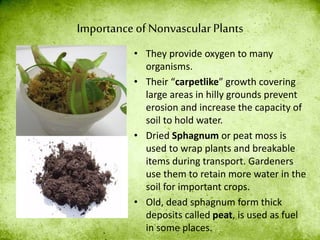 Importance of Nonvascular Plants
• They provide oxygen to many
organisms.
• Their “carpetlike” growth covering
large areas in hilly grounds prevent
erosion and increase the capacity of
soil to hold water.
• Dried Sphagnum or peat moss is
used to wrap plants and breakable
items during transport. Gardeners
use them to retain more water in the
soil for important crops.
• Old, dead sphagnum form thick
deposits called peat, is used as fuel
in some places.
 