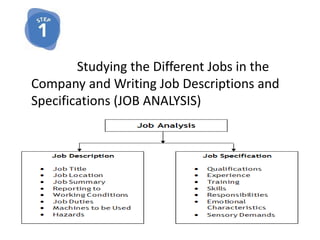 Studying the Different Jobs in the
Company and Writing Job Descriptions and
Specifications (JOB ANALYSIS)
 