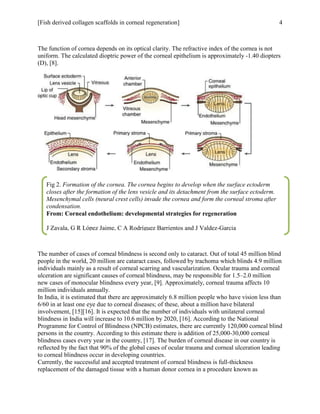[Fish derived collagen scaffolds in corneal regeneration] 4
The function of cornea depends on its optical clarity. The refractive index of the cornea is not
uniform. The calculated dioptric power of the corneal epithelium is approximately -1.40 diopters
(D), [8].
The number of cases of corneal blindness is second only to cataract. Out of total 45 million blind
people in the world, 20 million are cataract cases, followed by trachoma which blinds 4.9 million
individuals mainly as a result of corneal scarring and vascularization. Ocular trauma and corneal
ulceration are significant causes of corneal blindness, may be responsible for 1.5–2.0 million
new cases of monocular blindness every year, [9]. Approximately, corneal trauma affects 10
million individuals annually.
In India, it is estimated that there are approximately 6.8 million people who have vision less than
6/60 in at least one eye due to corneal diseases; of these, about a million have bilateral
involvement, [15][16]. It is expected that the number of individuals with unilateral corneal
blindness in India will increase to 10.6 million by 2020, [16]. According to the National
Programme for Control of Blindness (NPCB) estimates, there are currently 120,000 corneal blind
persons in the country. According to this estimate there is addition of 25,000-30,000 corneal
blindness cases every year in the country, [17]. The burden of corneal disease in our country is
reflected by the fact that 90% of the global cases of ocular trauma and corneal ulceration leading
to corneal blindness occur in developing countries.
Currently, the successful and accepted treatment of corneal blindness is full-thickness
replacement of the damaged tissue with a human donor cornea in a procedure known as
Fig 2. Formation of the cornea. The cornea begins to develop when the surface ectoderm
closes after the formation of the lens vesicle and its detachment from the surface ectoderm.
Mesenchymal cells (neural crest cells) invade the cornea and form the corneal stroma after
condensation.
From: Corneal endothelium: developmental strategies for regeneration
J Zavala, G R López Jaime, C A Rodríguez Barrientos and J Valdez-Garcia
 