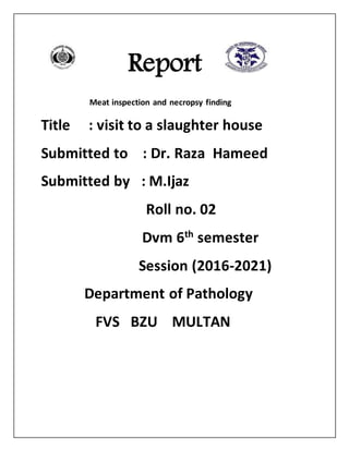 Report
Meat inspection and necropsy finding
Title : visit to a slaughter house
Submitted to : Dr. Raza Hameed
Submitted by : M.Ijaz
Roll no. 02
Dvm 6th semester
Session (2016-2021)
Department of Pathology
FVS BZU MULTAN
 