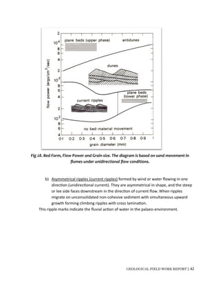 Geological Field Work Report.pdf
