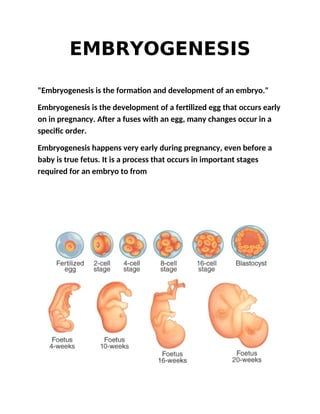 Process Of Embryogenesis report.pdf.biology.class12.sethmrjaipuriaschool | PDF