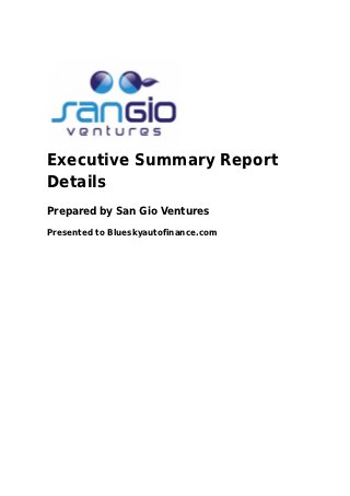 Executive Summary Report
Details
Prepared by San Gio Ventures
Presented to Blueskyautofinance.com
 