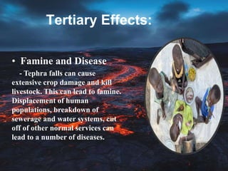 Tertiary Effects:
• Famine and Disease
- Tephra falls can cause
extensive crop damage and kill
livestock. This can lead to famine.
Displacement of human
populations, breakdown of
sewerage and water systems, cut
off of other normal services can
lead to a number of diseases.
 