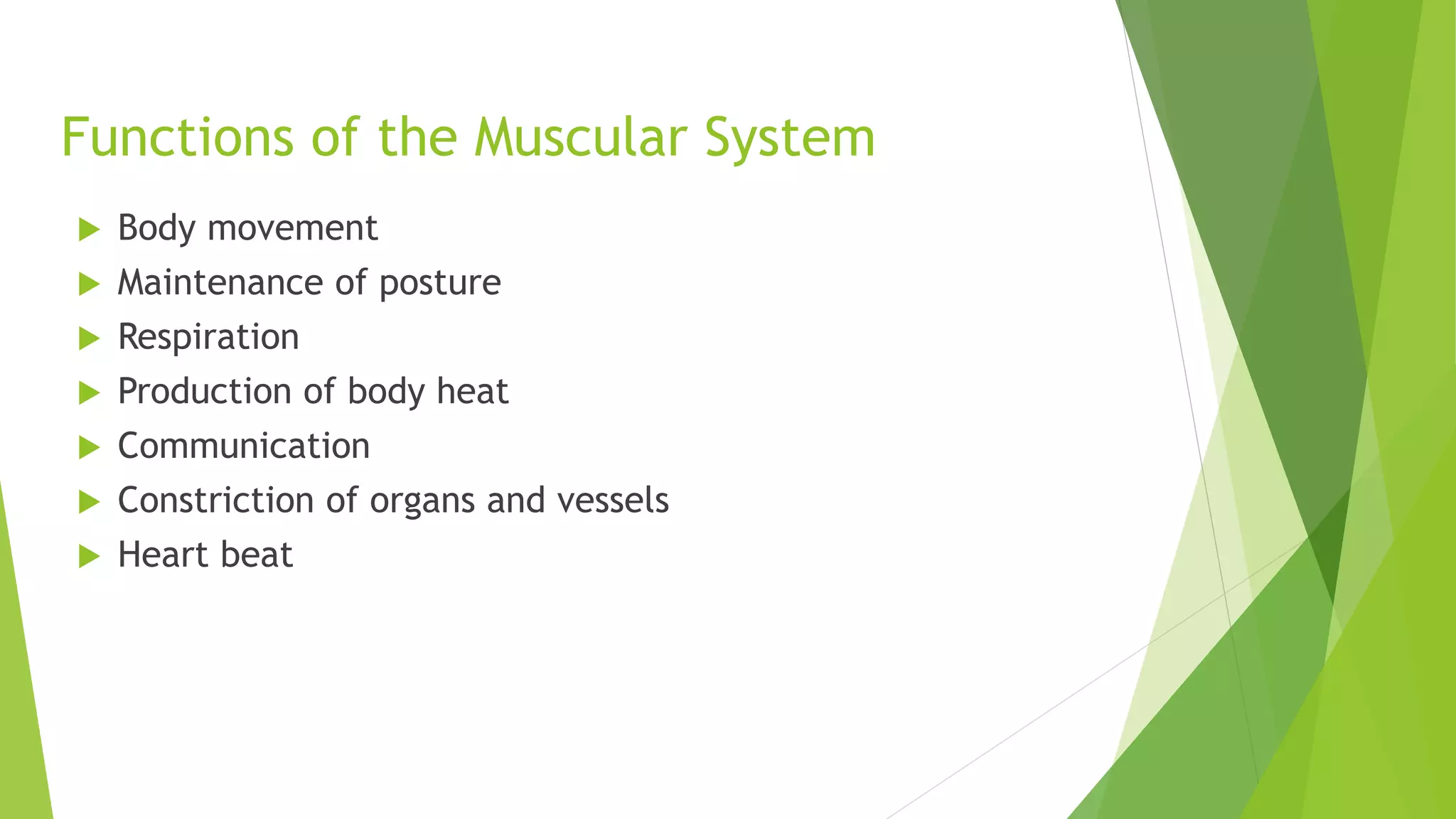 Muscular System | PPTX