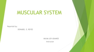 MUSCULAR SYSTEM
Reported by:
DONABEL E. REYES
MA'AM JOY ADAMOS
Instructor
 