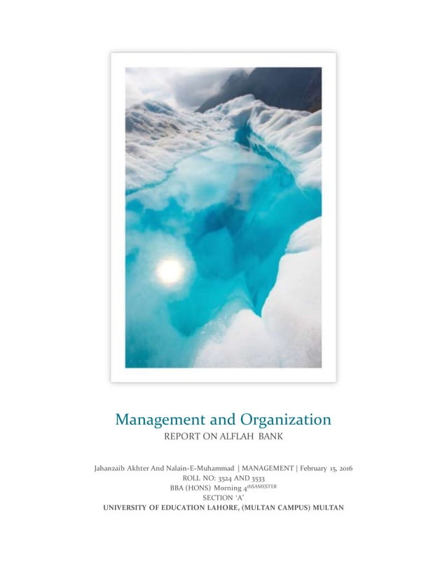 Report On Role Of Managers In Organizations PDF report-on-role-of-managers-in-organizations-pdf