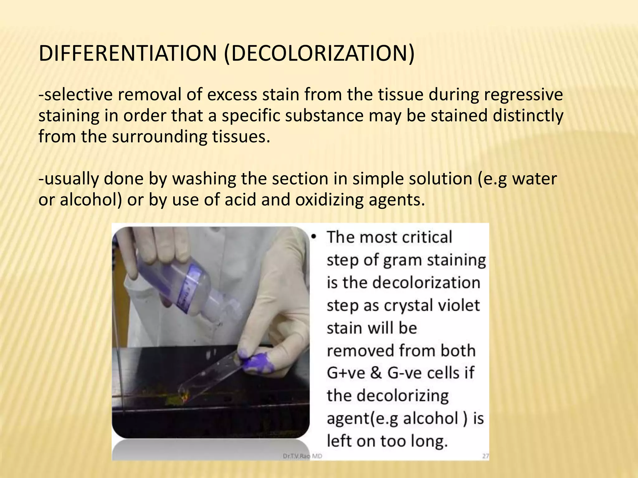 DIFFERENTIATION (DECOLORIZATION)
-selective removal of excess stain from the tissue during regressive
staining in order that a specific substance may be stained distinctly
from the surrounding tissues.
-usually done by washing the section in simple solution (e.g water
or alcohol) or by use of acid and oxidizing agents.
 