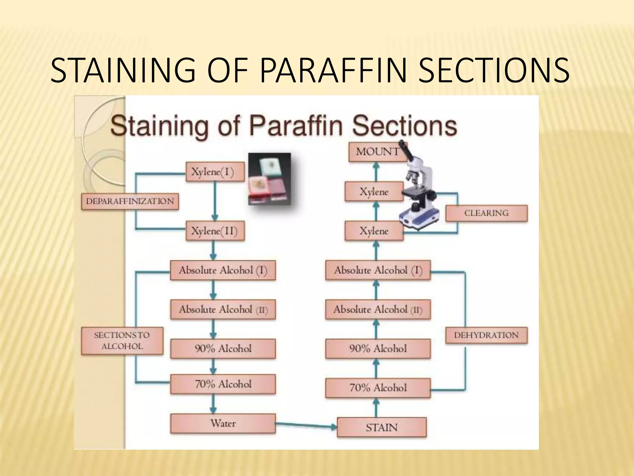 STAINING OF PARAFFIN SECTIONS
 