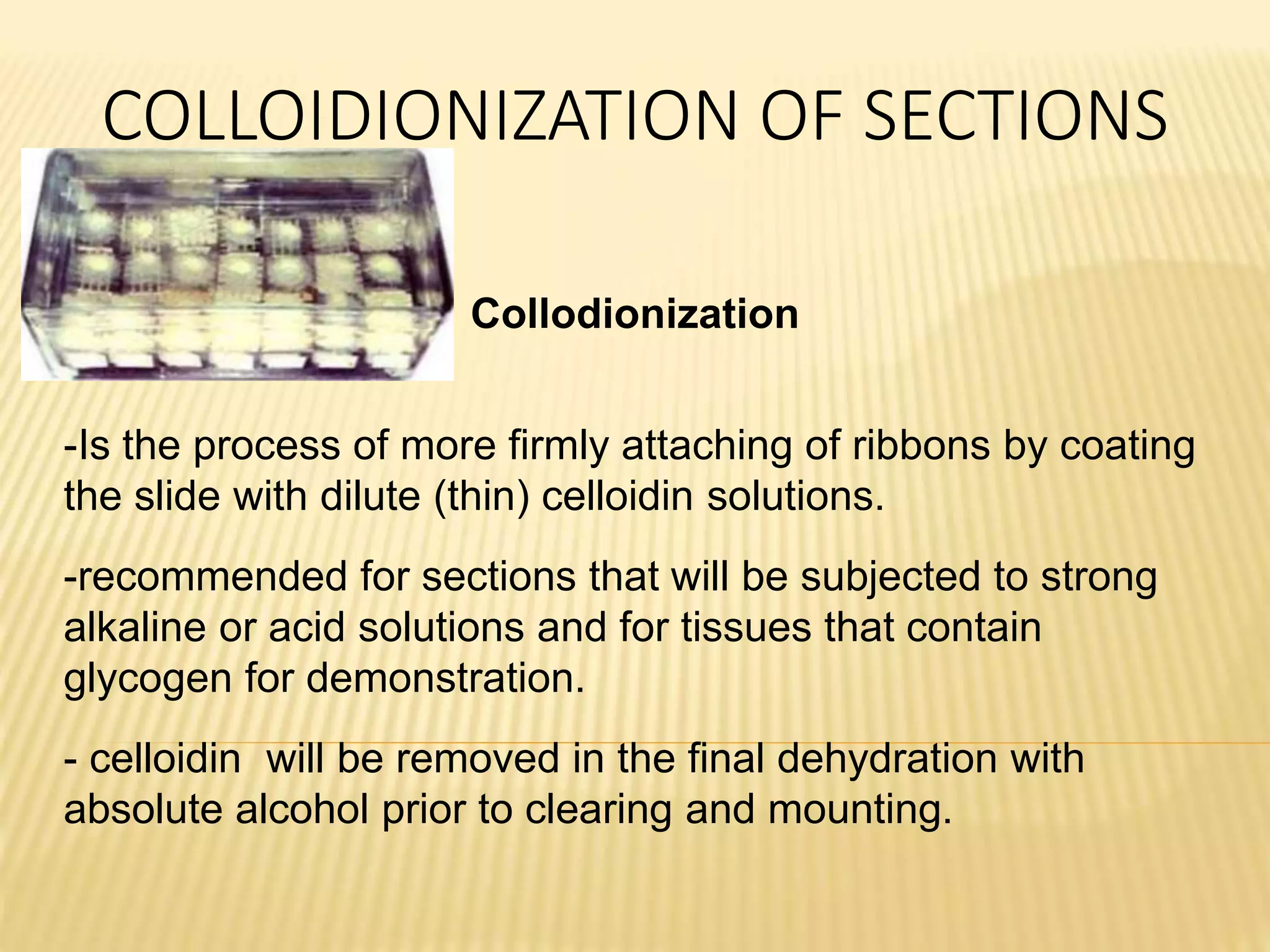 COLLOIDIONIZATION OF SECTIONS
Collodionization
-Is the process of more firmly attaching of ribbons by coating
the slide with dilute (thin) celloidin solutions.
-recommended for sections that will be subjected to strong
alkaline or acid solutions and for tissues that contain
glycogen for demonstration.
- celloidin will be removed in the final dehydration with
absolute alcohol prior to clearing and mounting.
 