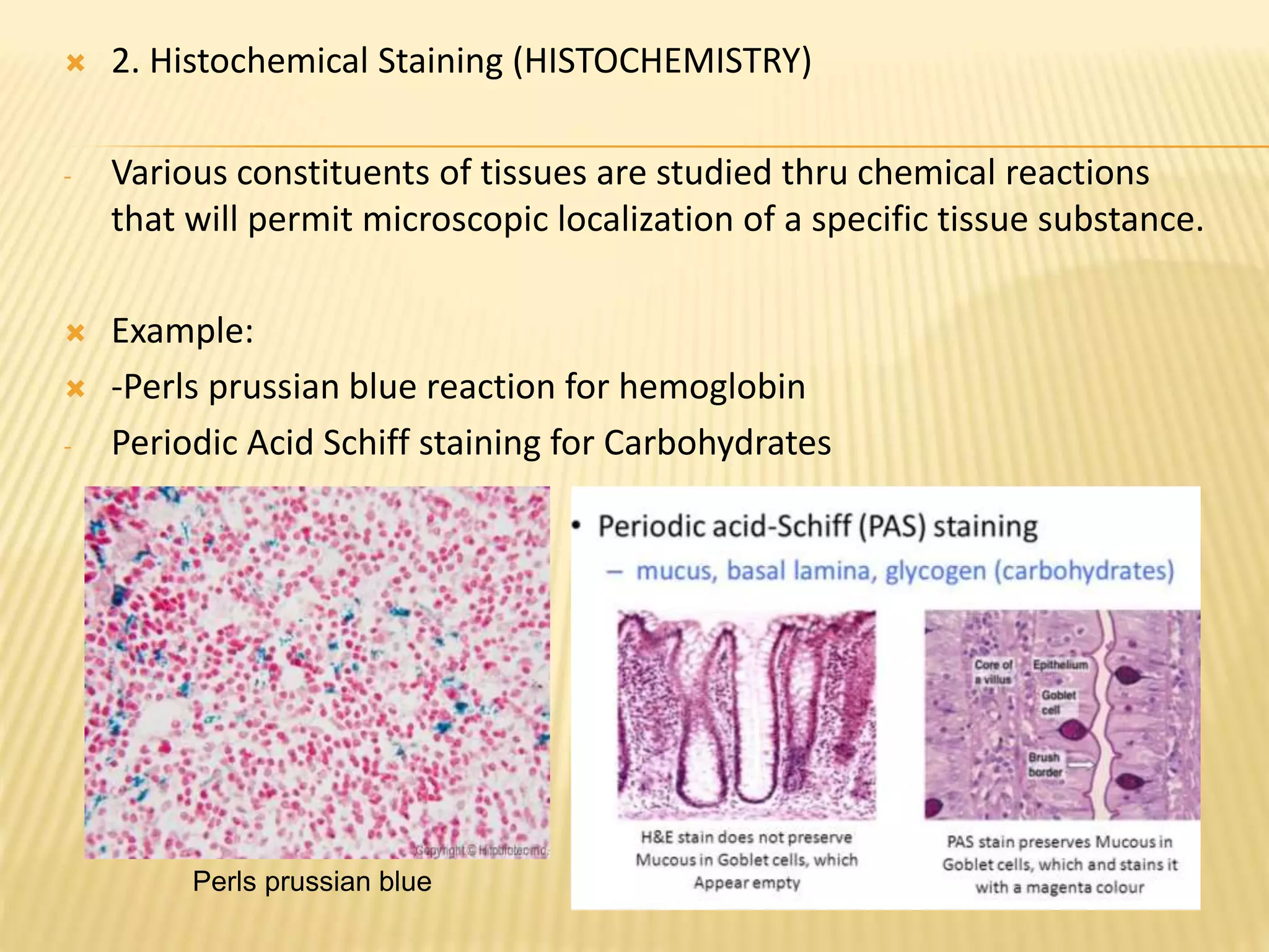  2. Histochemical Staining (HISTOCHEMISTRY)
- Various constituents of tissues are studied thru chemical reactions
that will permit microscopic localization of a specific tissue substance.
 Example:
 -Perls prussian blue reaction for hemoglobin
- Periodic Acid Schiff staining for Carbohydrates
Perls prussian blue
 