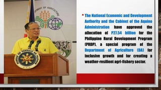 •The National Economic and Development
Authority and the Cabinet of the Aquino
Administration have approved the
allocation of P27.54 billion for the
Philippine Rural Development Program
(PRDP), a special program of the
Department of Agriculture (DA) for
inclusive growth and for creating a
weather-resilient agri-fishery sector.
 