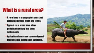 What is a rural area?
•A rural area is a geographic area that
is located outside cities and towns.
•Typical rural areas have a low
population density and small
settlements.
•Agricultural areas are commonly rural,
though so are others such as forests.
 