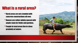 What is a rural area?
•Rural areas are not crowded with
concrete constructions all over.
•Houses are rather widely spaced with
ample room for fields and gardens.
•People in rural areas live in close
proximity of nature.
 