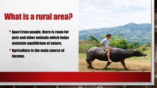 What is a rural area?
•Apart from people, there is room for
pets and other animals which helps
maintain equilibrium of nature.
•Agriculture is the main source of
income.
 