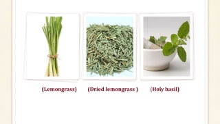 (Lemongrass) (Dried lemongrass ) (Holy basil)
 